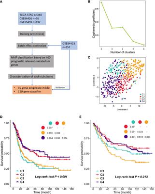Metabolism-associated molecular classification of gastric adenocarcinoma
